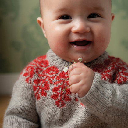 Gerbera - Babypullover