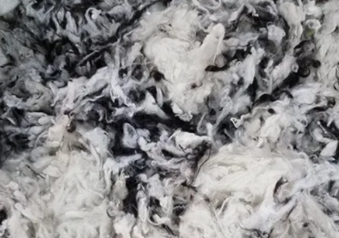 Sk_rmbild_2024-02-01_124245