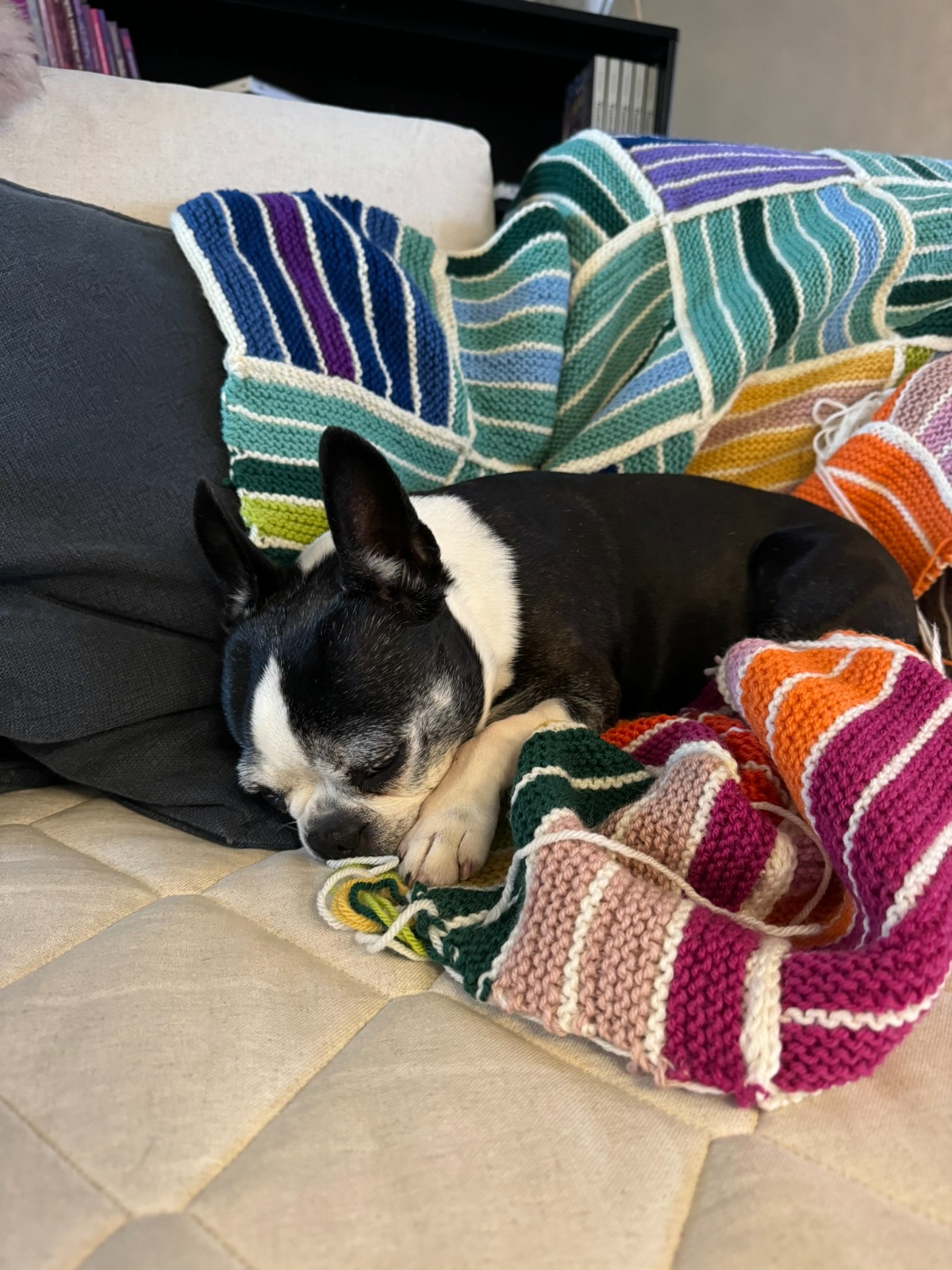 522C7185-32D0-4559-AA67-3BE25F927009_1_102_o